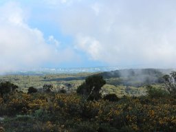 Vis et Lutz : Nos premiers visiteurs !